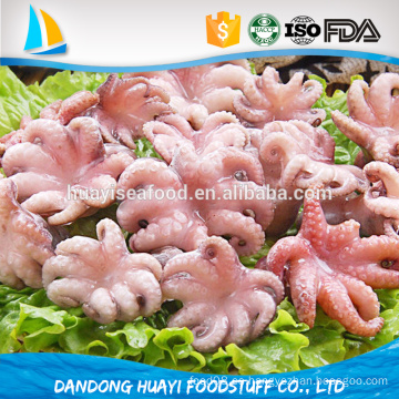 Producto de mariscos congelados limpiado bebé pulpo